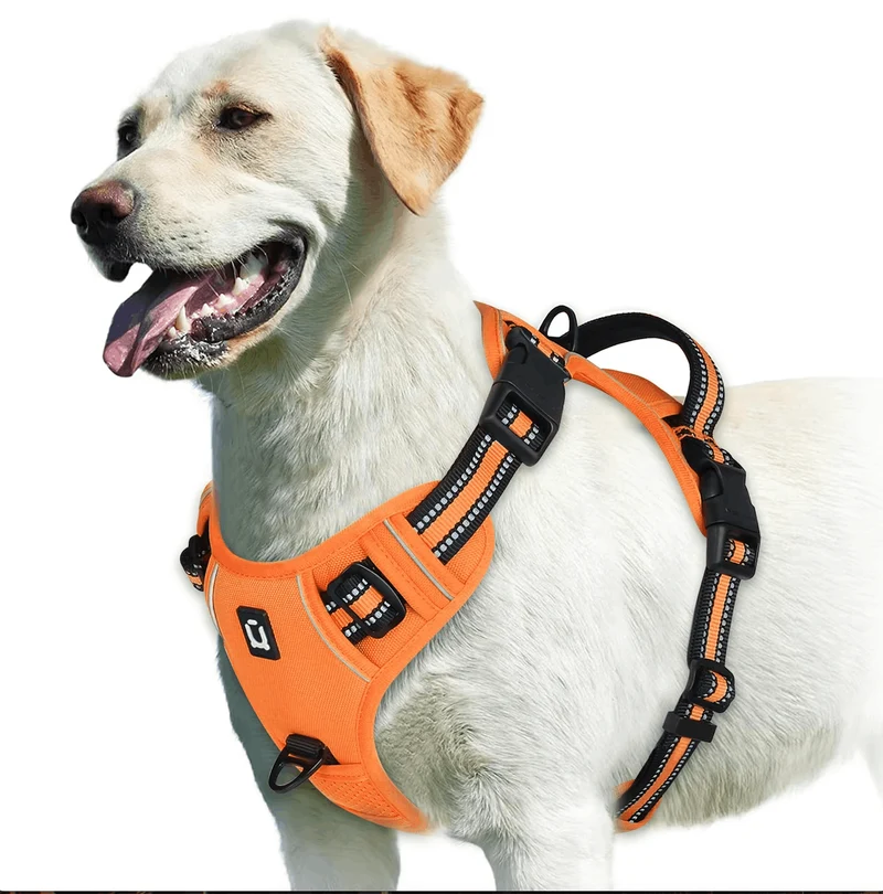 Harnais Anti-Traction Réfléchissant Gros Chien