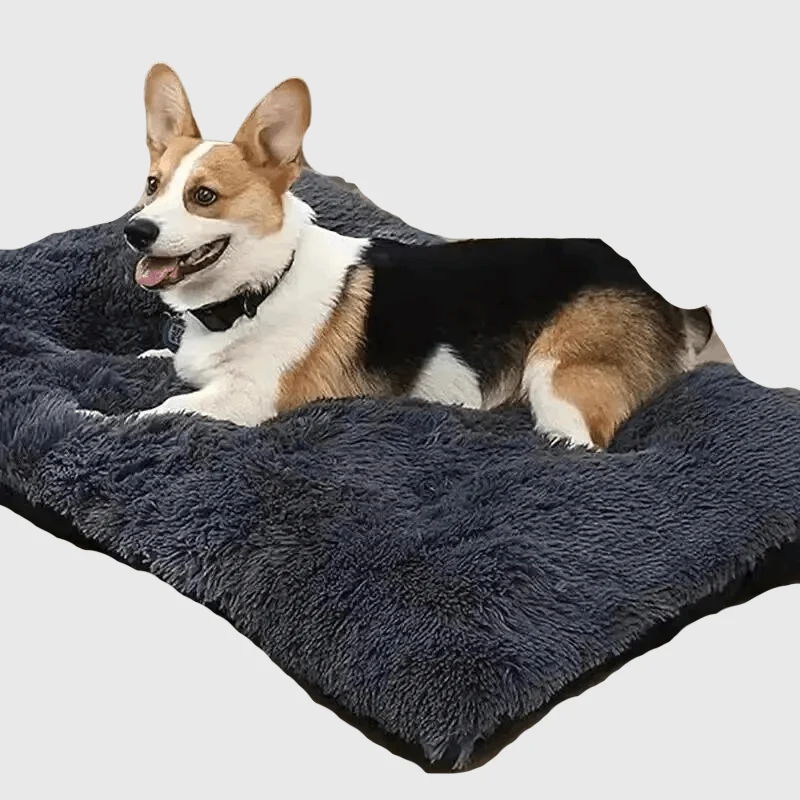 Tapis Confort XXL Lavable Gros Chien Gris Noir