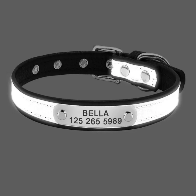 Collier Réfléchissant Haute Visibilité Gros Chien