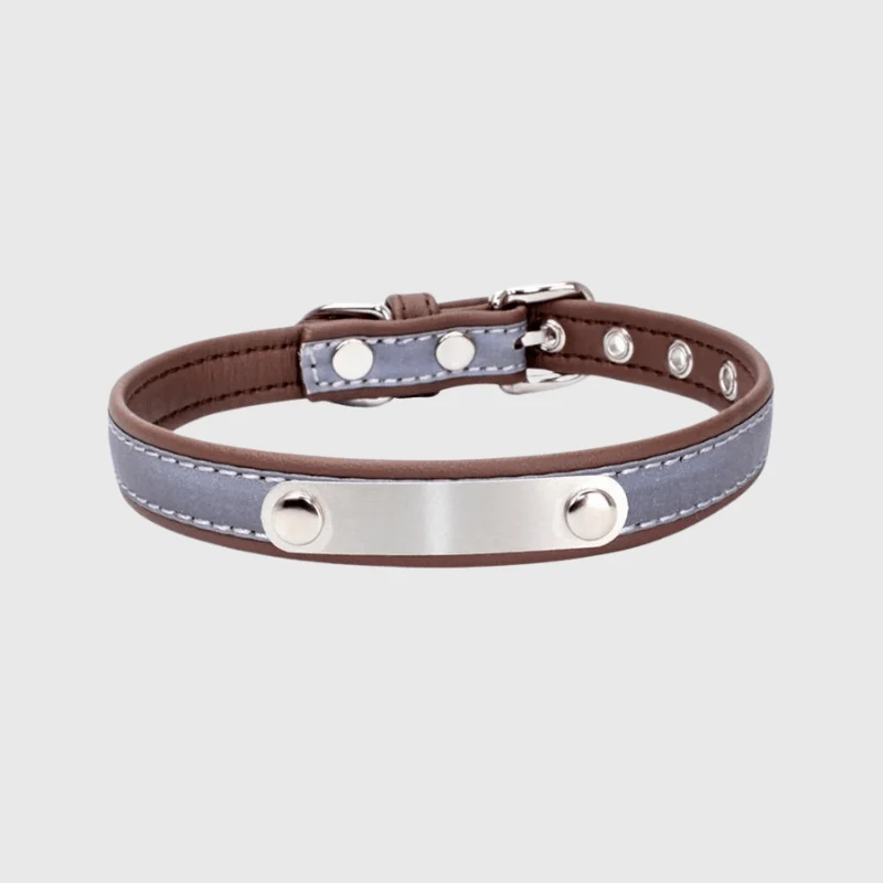 Collier Réfléchissant Haute Visibilité Gros Chien