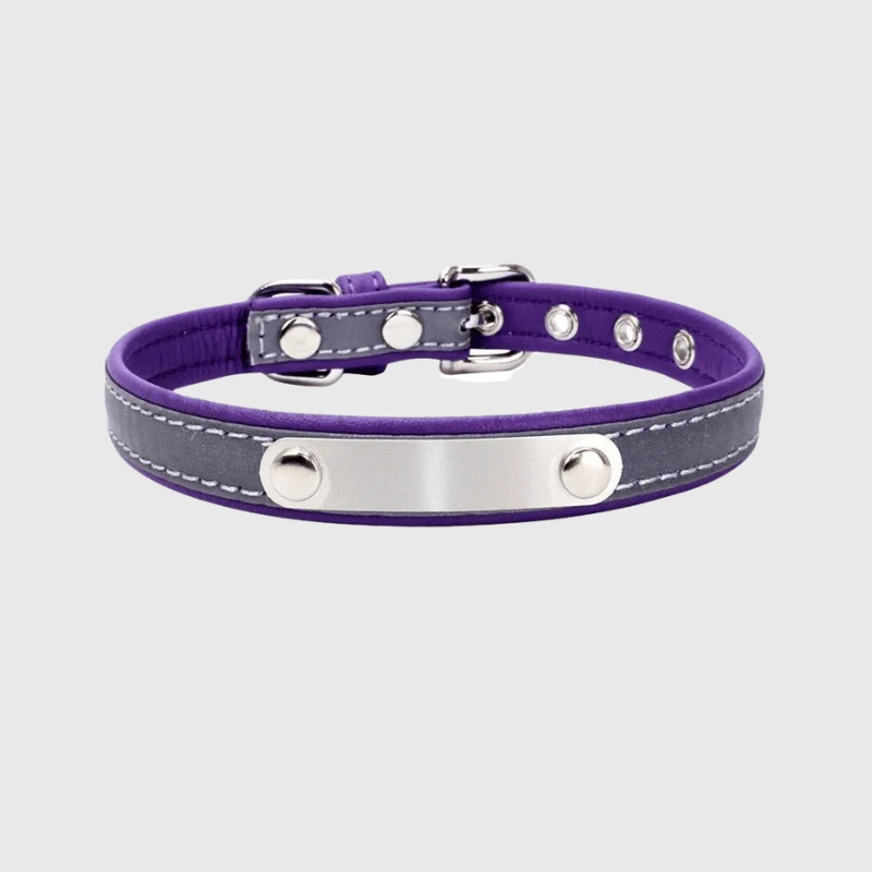 Collier Réfléchissant Haute Visibilité Gros Chien