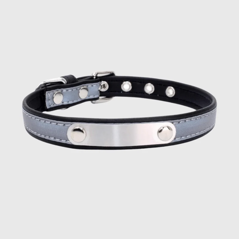 Collier Réfléchissant Haute Visibilité Gros Chien