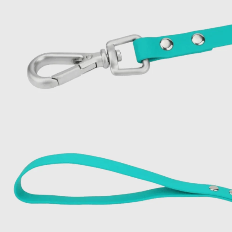 Longe Nylon Renforcée 15m Gros Chien