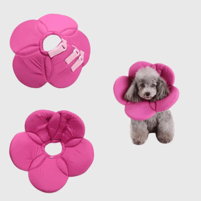 Collerette Fleur Violette Gros Chien