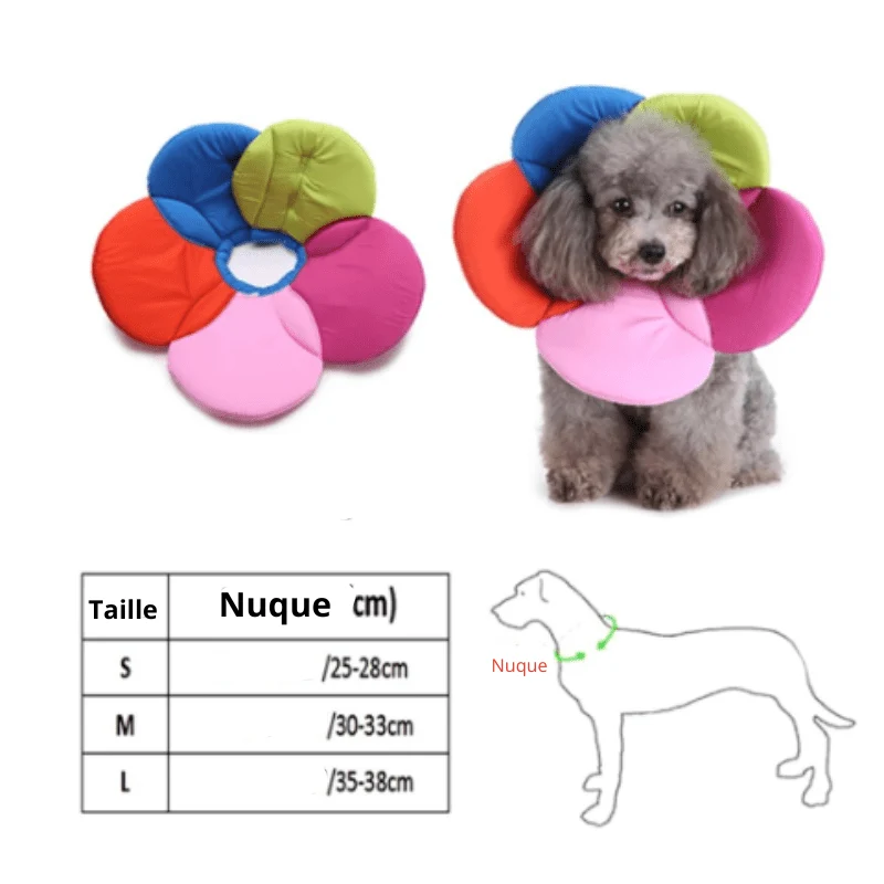 Collerette Chien Fleur Multicolore Souple
