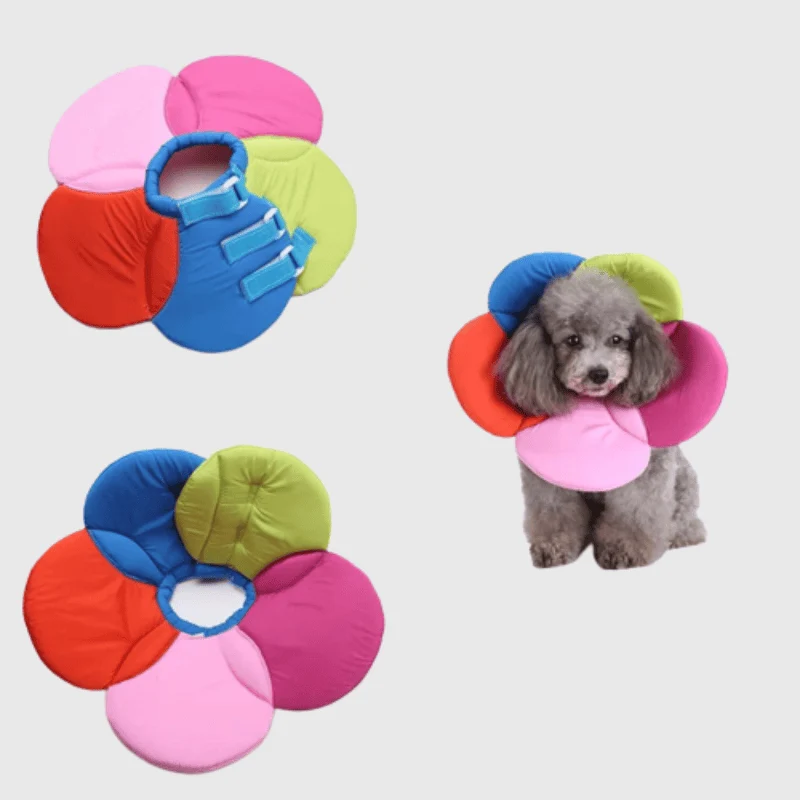Collerette Chien Fleur Multicolore Souple