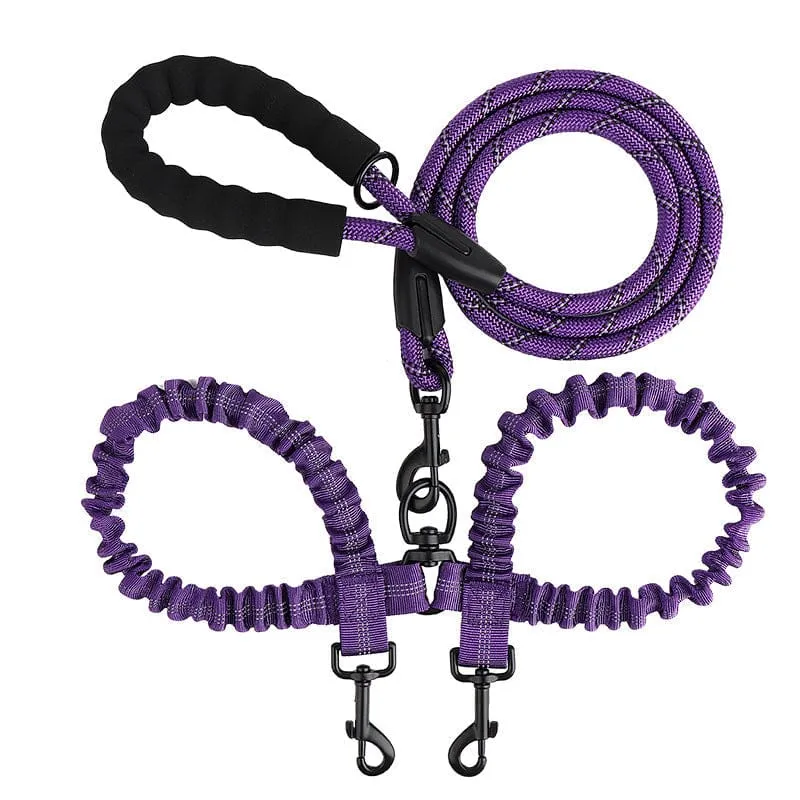 Laisse Double Anti-Enchevêtrement Rotule Chien