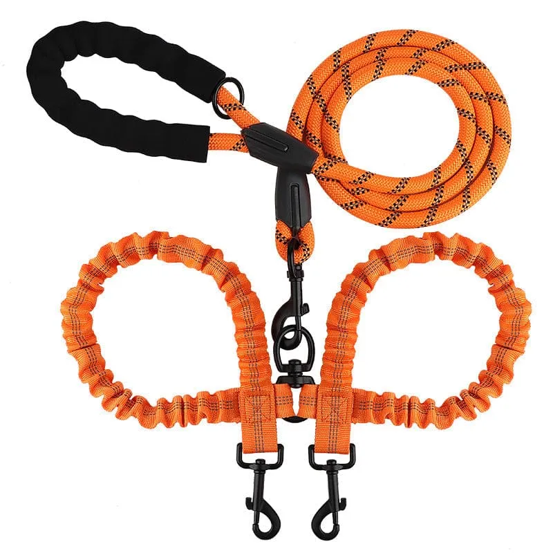 Laisse Double Anti-Enchevêtrement Rotule Chien