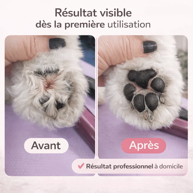 Tondeuse Silencieuse Rechargeable Chien LED