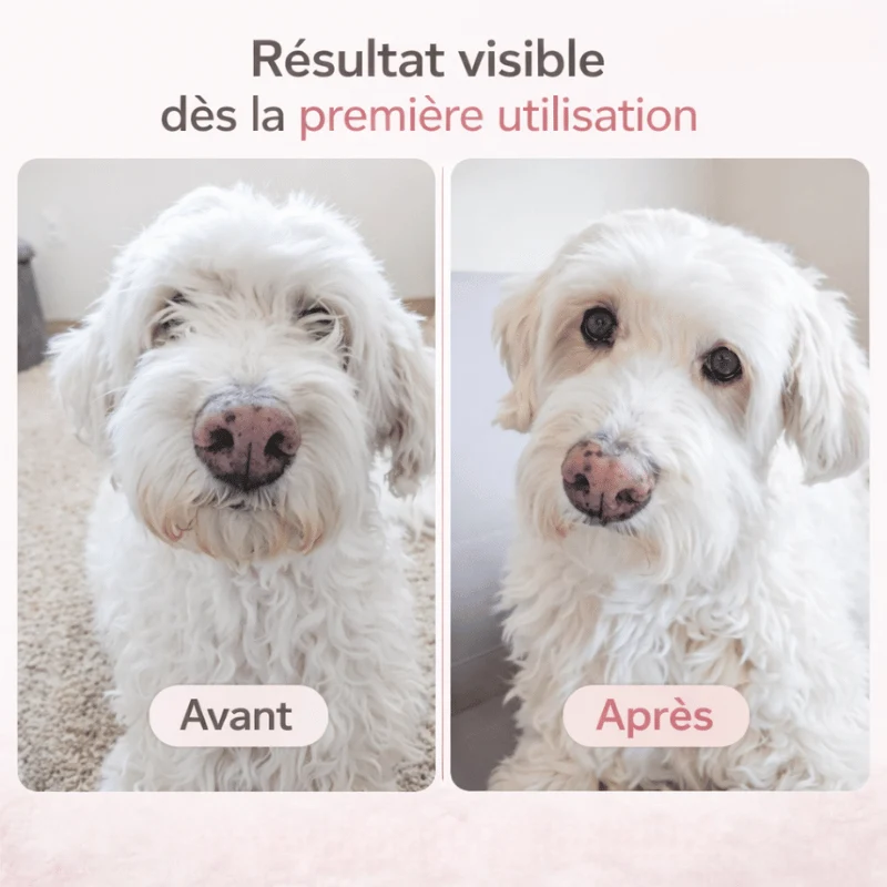 Tondeuse Silencieuse Rechargeable Chien LED
