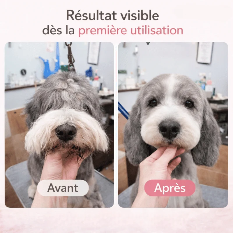 Tondeuse Silencieuse Rechargeable Chien LED