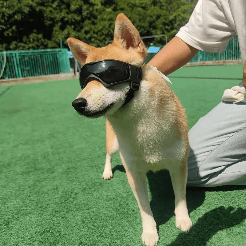 Lunettes Protection Chien Anti-UV Réglables