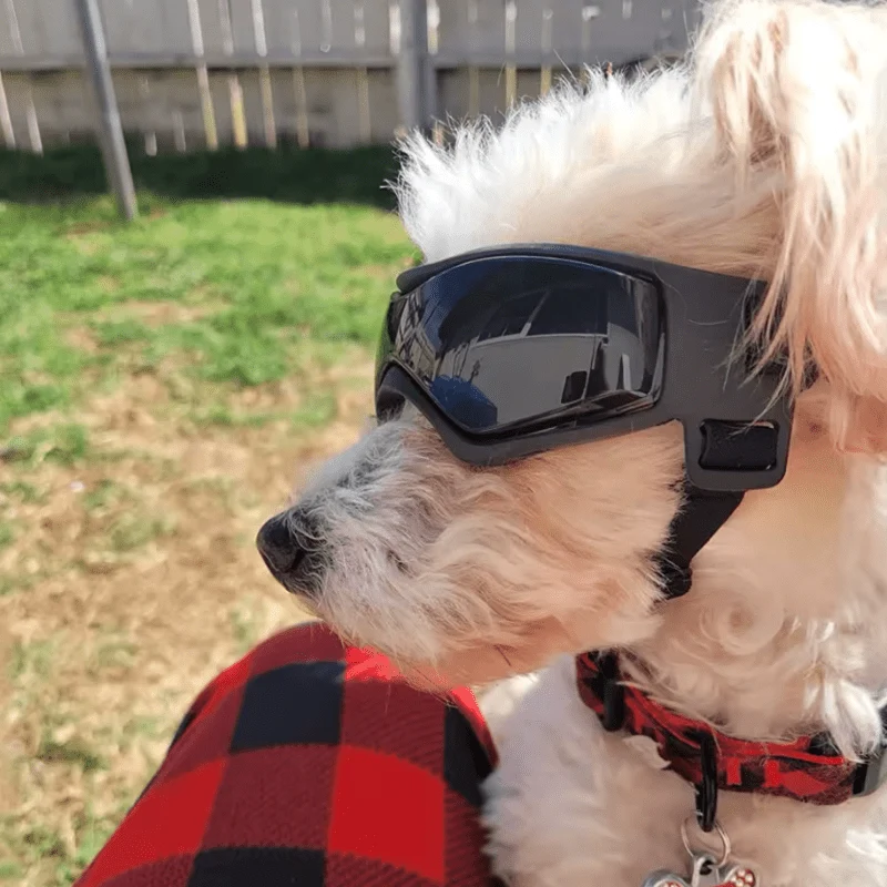 Lunettes Protection Chien Anti-UV Réglables