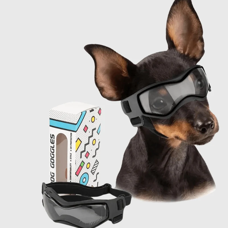 Lunettes Protection Chien Anti-UV Réglables