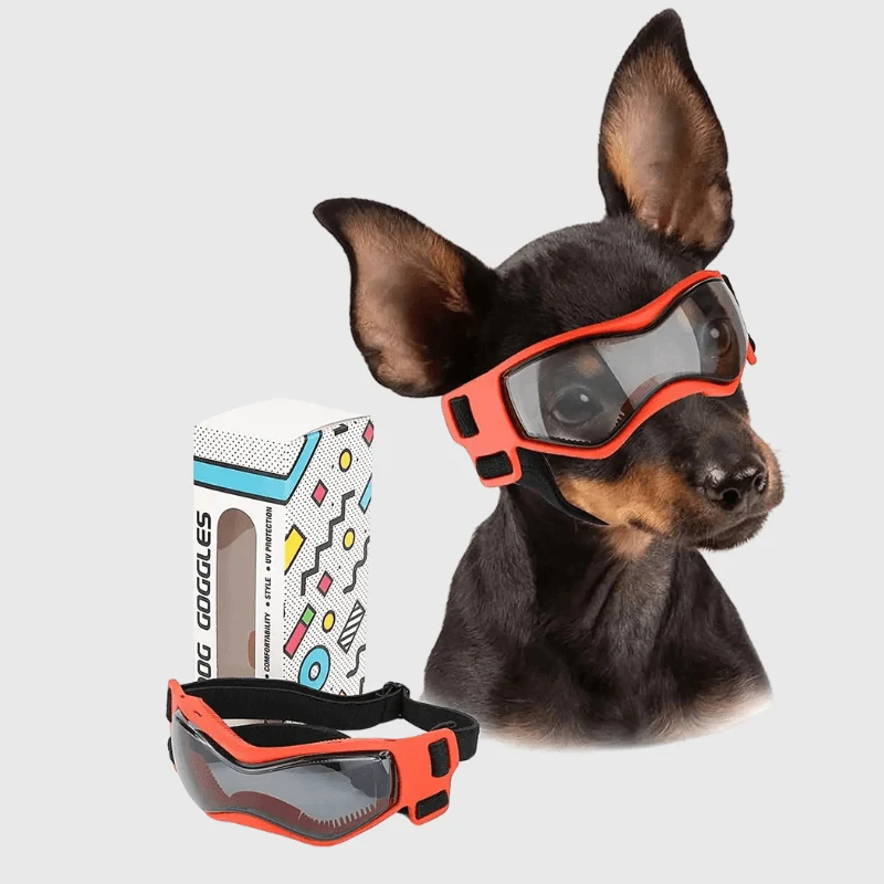 Lunettes Protection Chien Anti-UV Réglables
