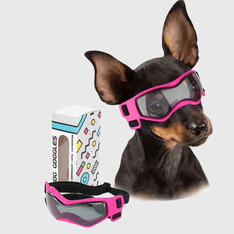 Lunettes Protection Chien Anti-UV Réglables
