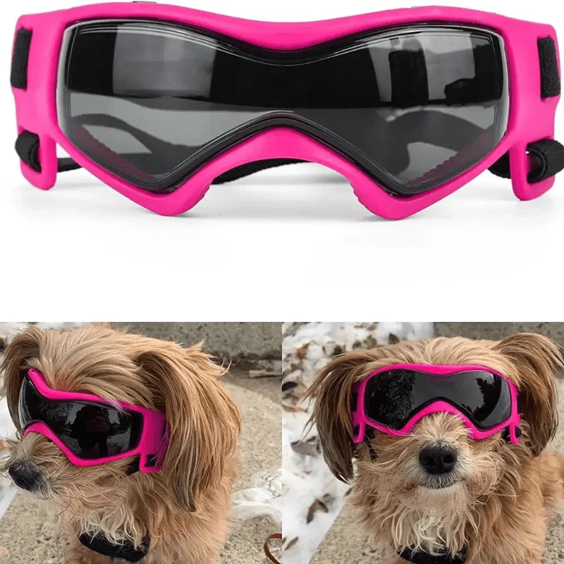 Lunettes Protection Chien Anti-UV Réglables