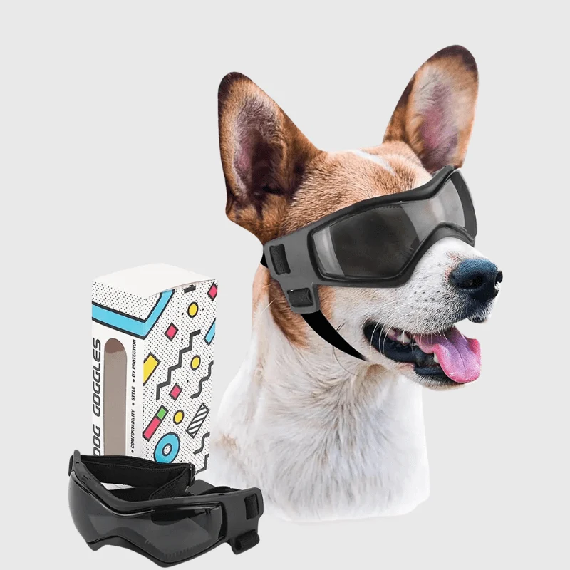 Lunettes Protection Chien Anti-UV Réglables