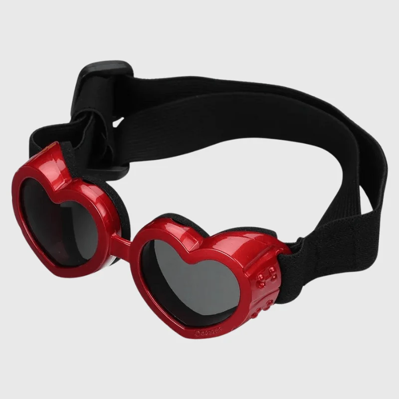 Lunettes Chien Forme Coeur Protection UV