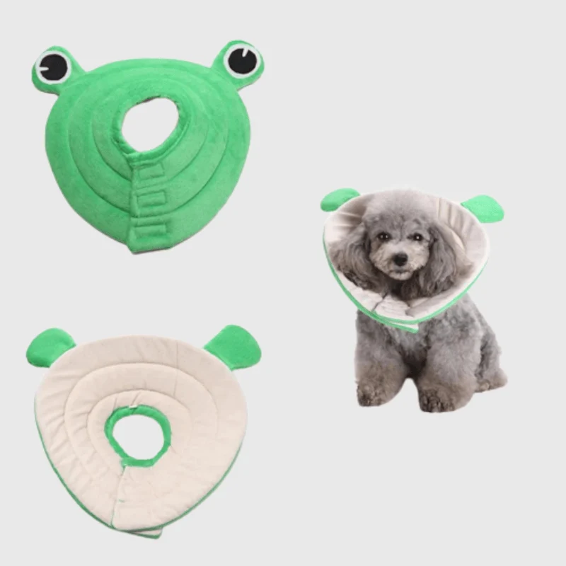 Collerette Grenouille Anti-Grattage Confort Chien