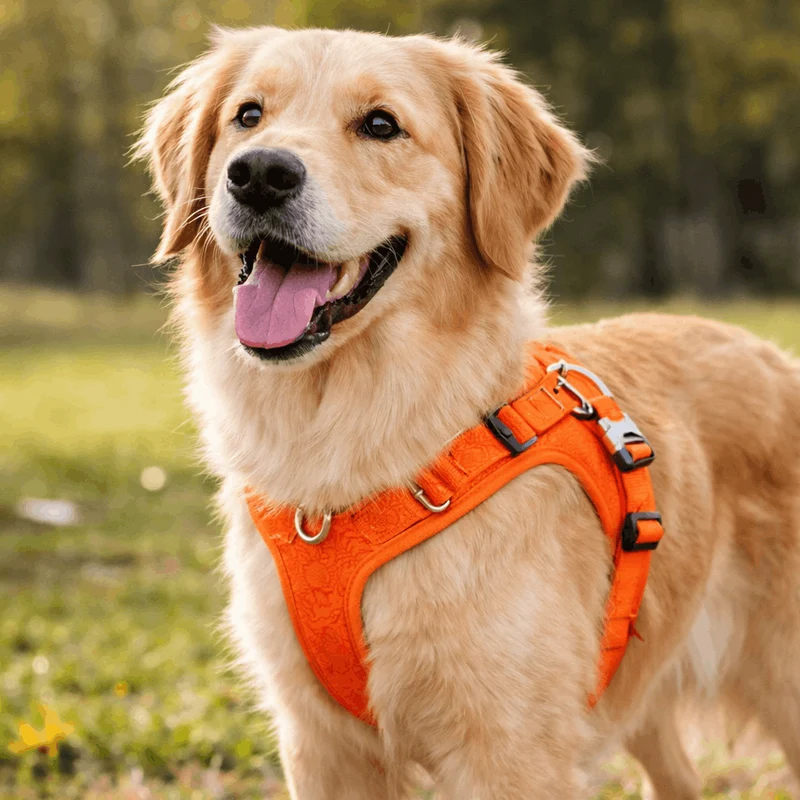 Harnais Réglable Confort Gros Chien XS-XL