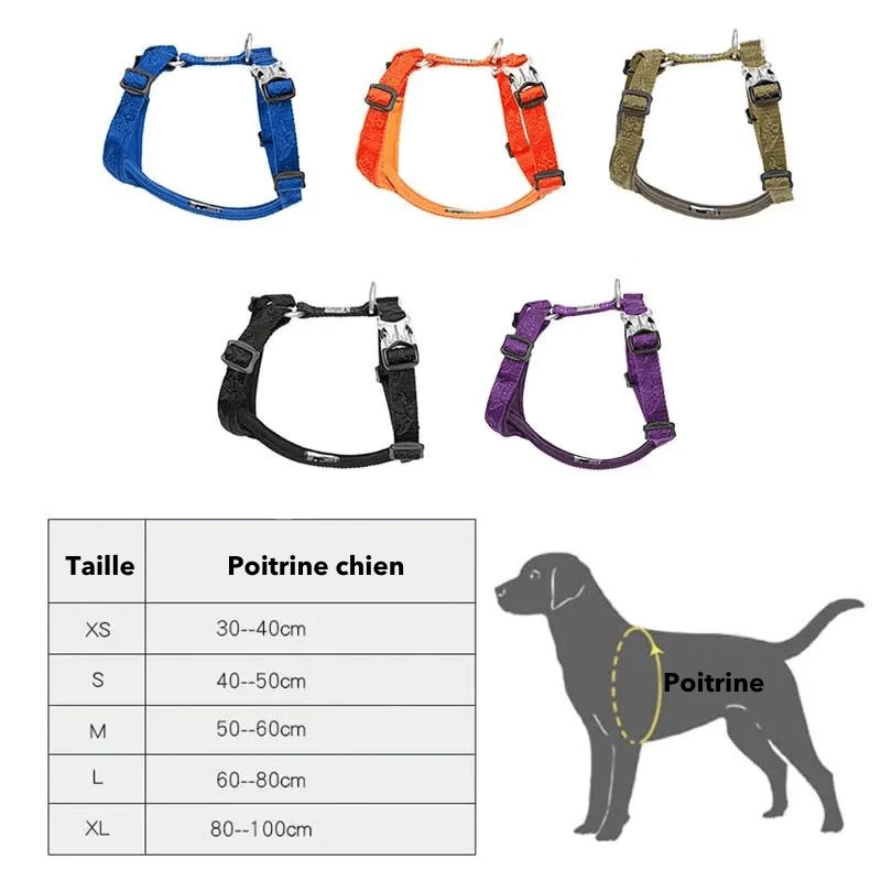Harnais Réglable Confort Gros Chien XS-XL