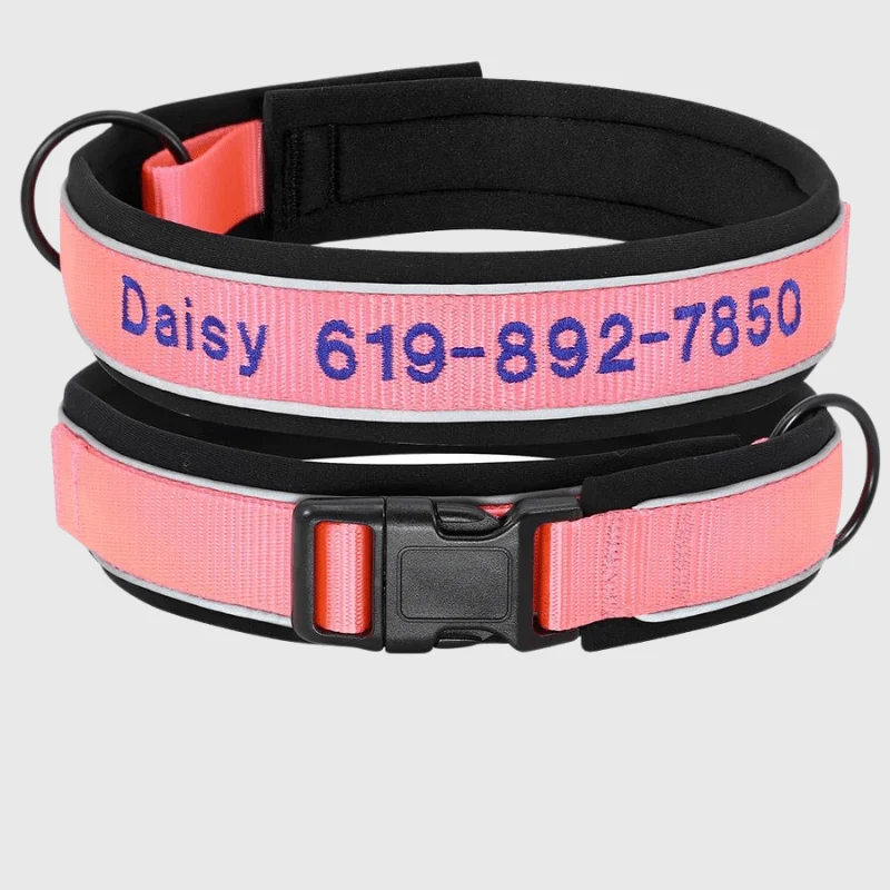 Collier Chasse Haute Visibilité Chien Réfléchissant
