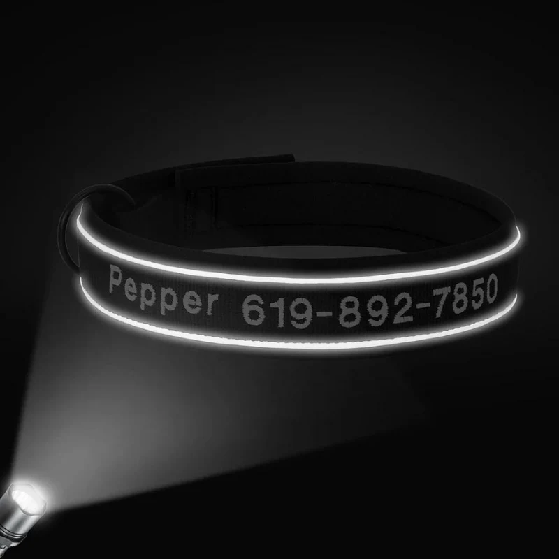 Collier Chasse Haute Visibilité Chien Réfléchissant