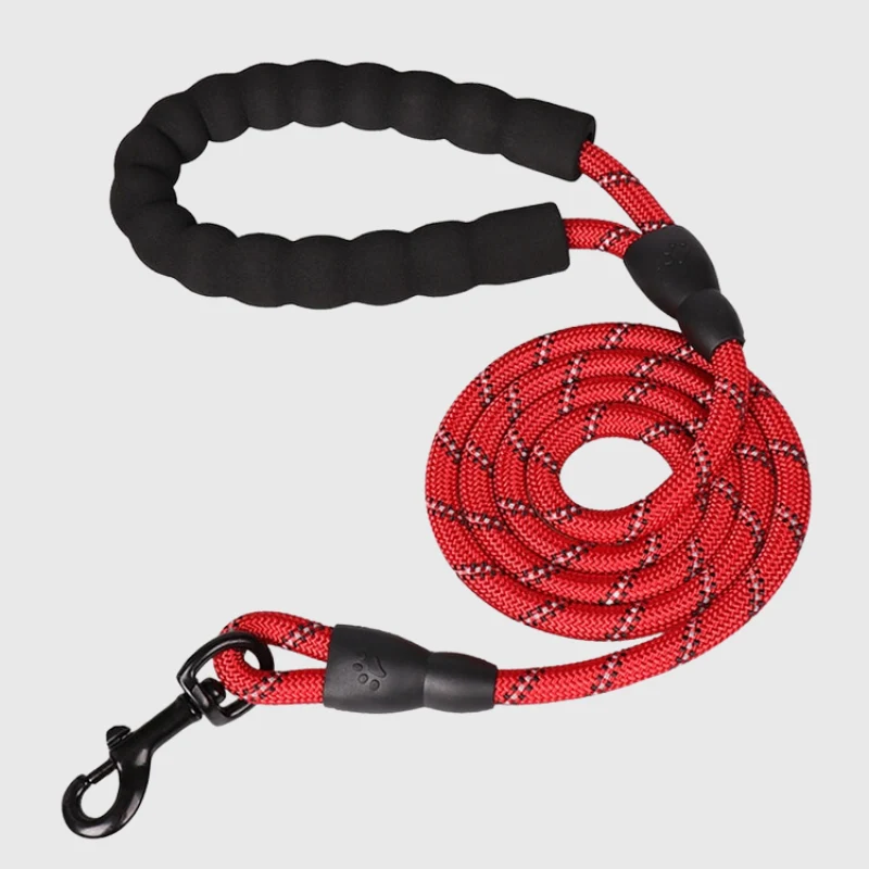 Laisse Éducative Anti-Traction Gros Chien