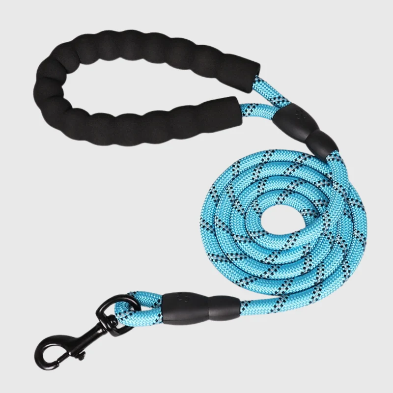 Laisse Éducative Anti-Traction Gros Chien