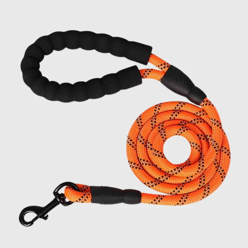 Laisse Éducative Anti-Traction Gros Chien