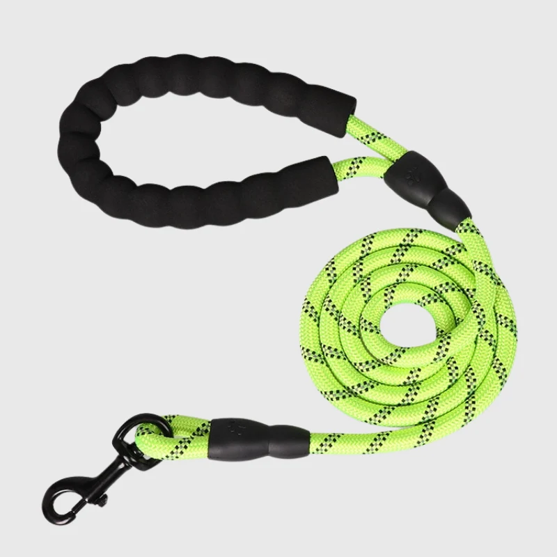 Laisse Éducative Anti-Traction Gros Chien