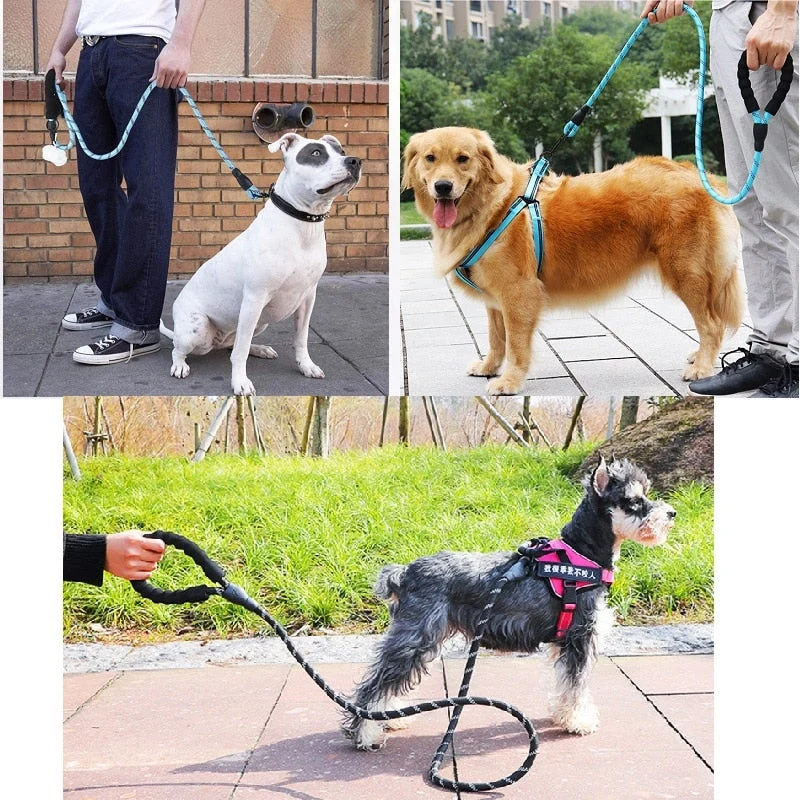 Laisse Éducative Anti-Traction Gros Chien