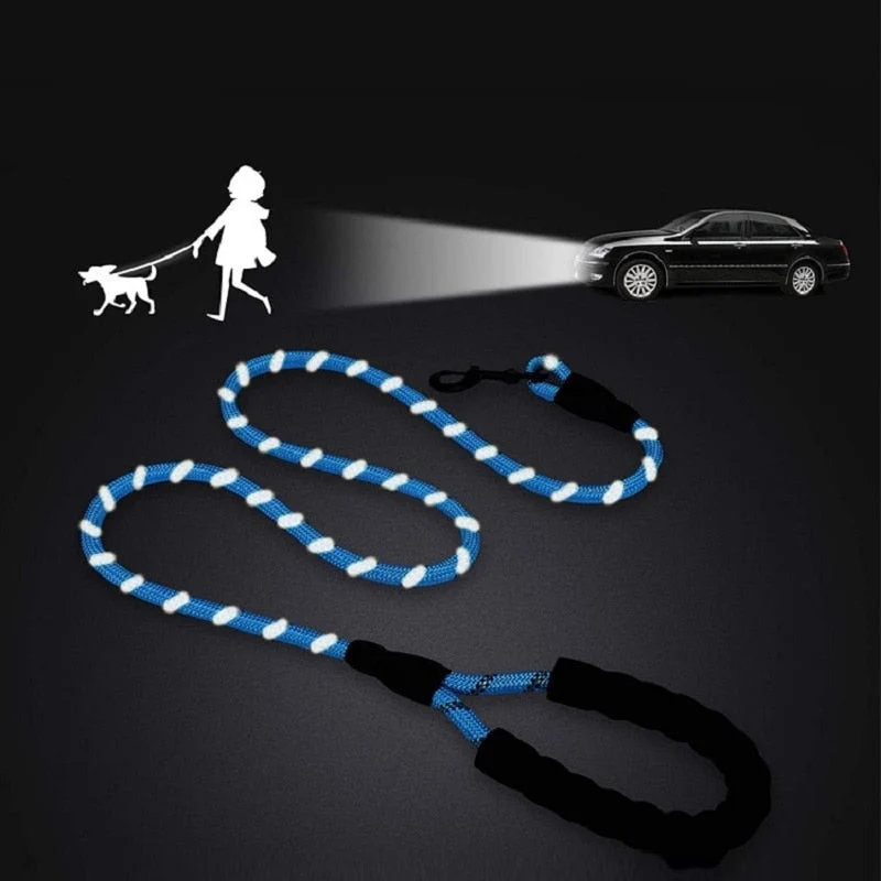Laisse Éducative Anti-Traction Gros Chien