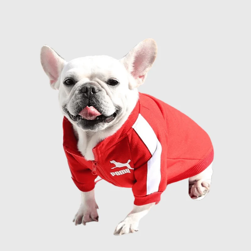Manteau Imperméable Polaire Chien Capuche Réfléchissant