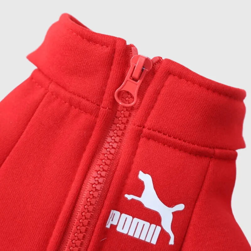 Manteau Imperméable Polaire Chien Capuche Réfléchissant