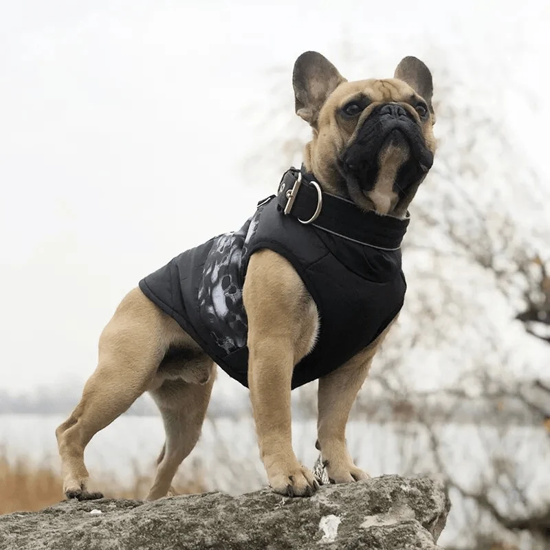 Manteau Pluie Chien Imperméable Multi-Motifs