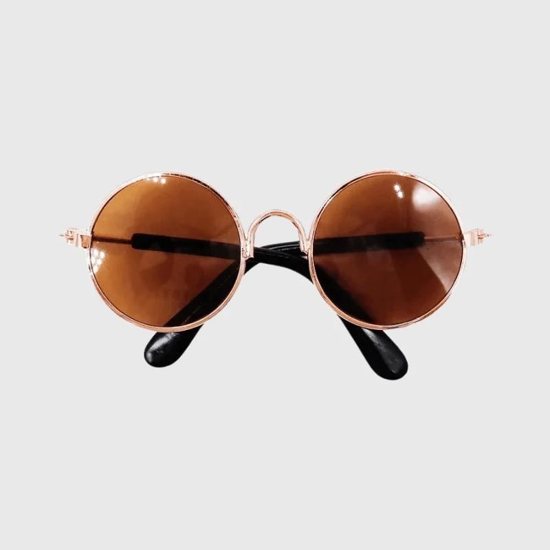 Lunettes Soleil Protection UV Chien Colorées