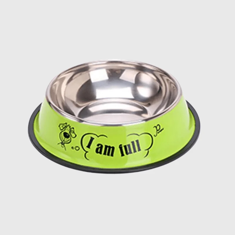 Gamelle Inox Antidérapante Design Chien Vert
