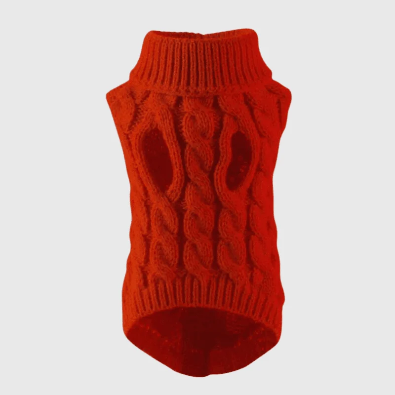 Pull Tricot Chaud Hiver Petit Chien