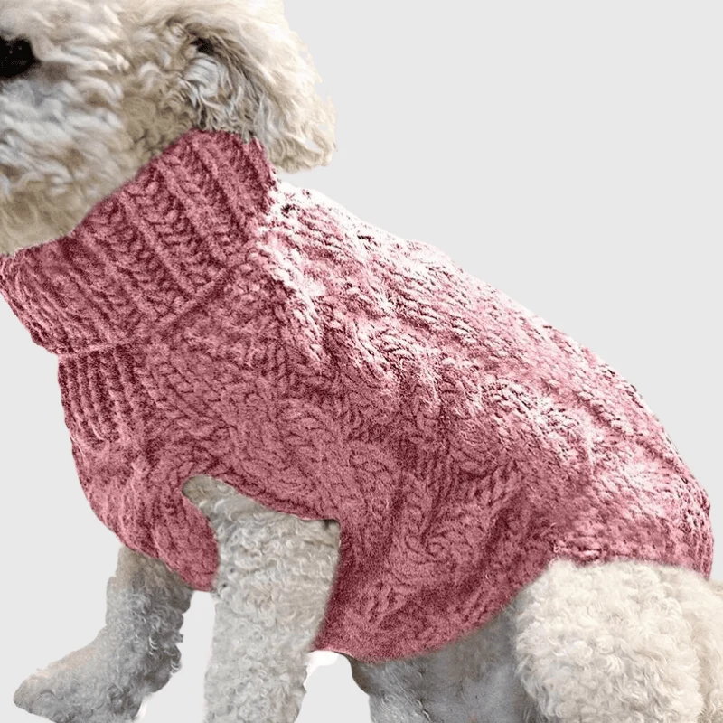 Pull Tricot Chaud Hiver Petit Chien