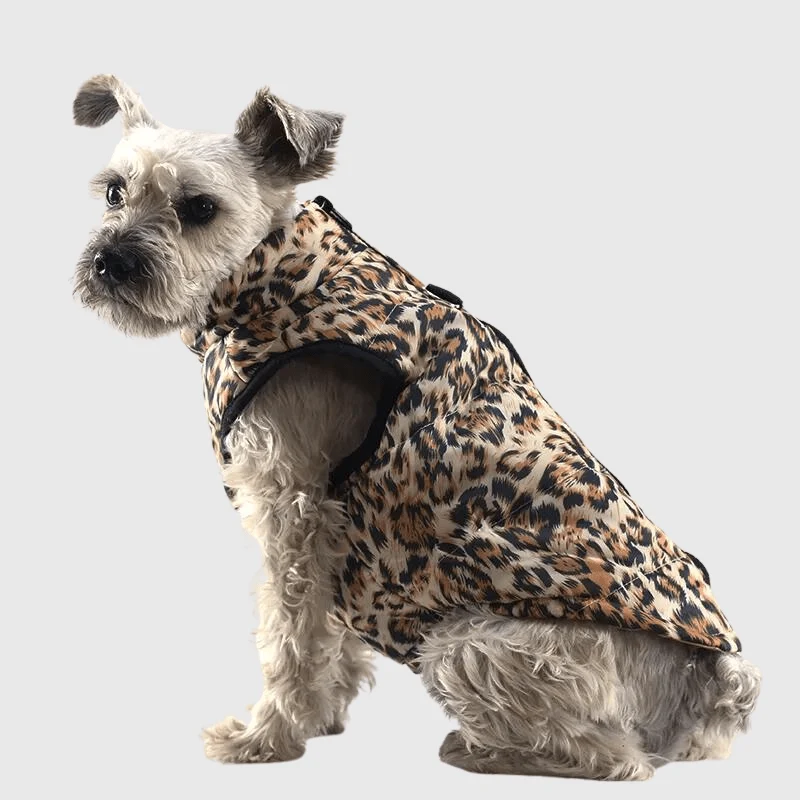 Manteau Imperméable Motif Léopard Gros Chien