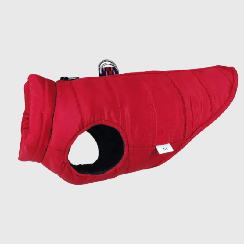 Manteau Imperméable Rouge Hiver Chien