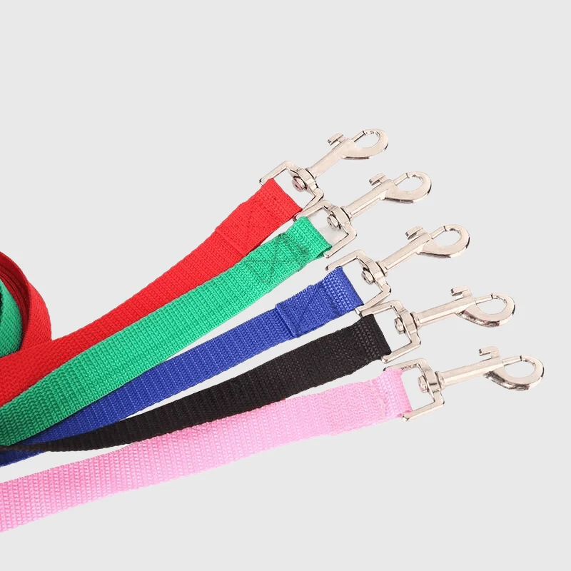 Laisse Dressage Nylon Gros Chien Résistante