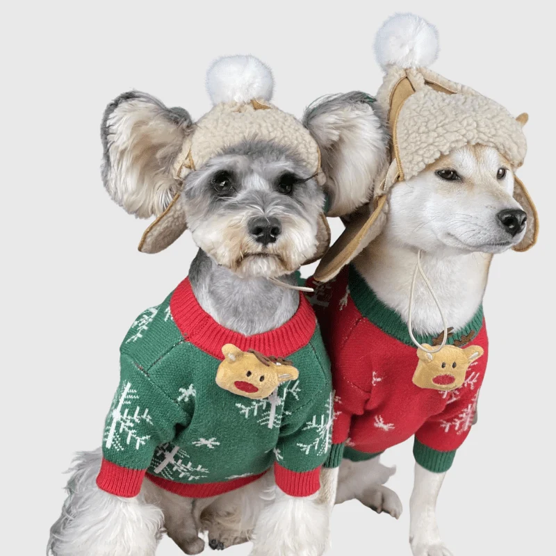 Casquette Laine Chien Kaki Hiver