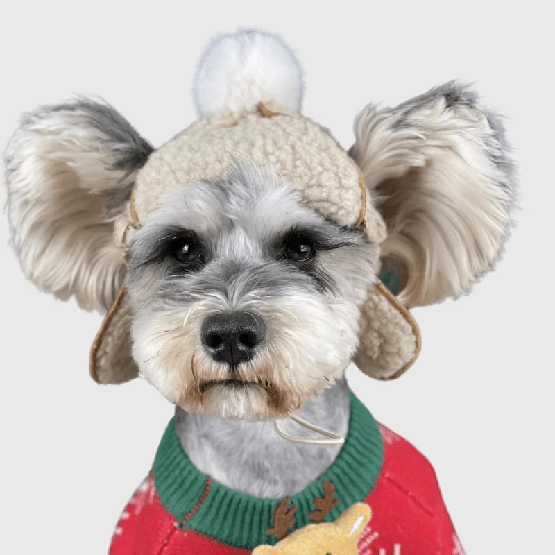 Casquette Laine Chien Kaki Hiver