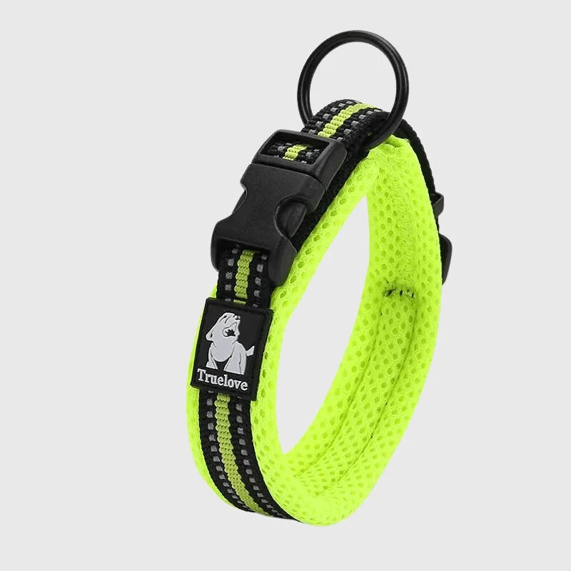 Collier Nylon Réglable Grande Race