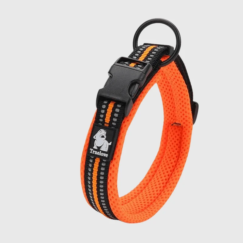 Collier Nylon Réglable Grande Race