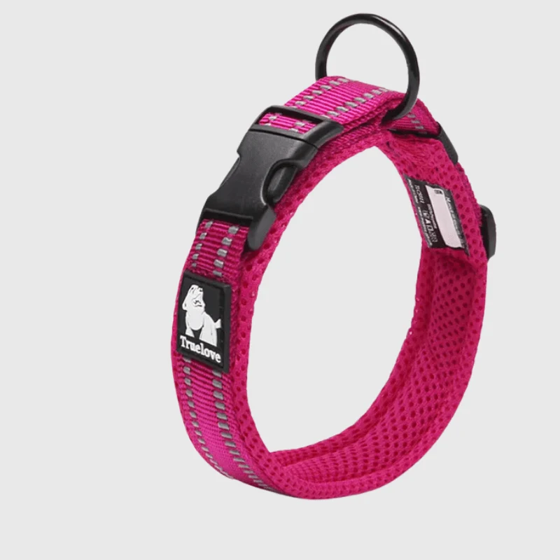 Collier Nylon Réglable Grande Race