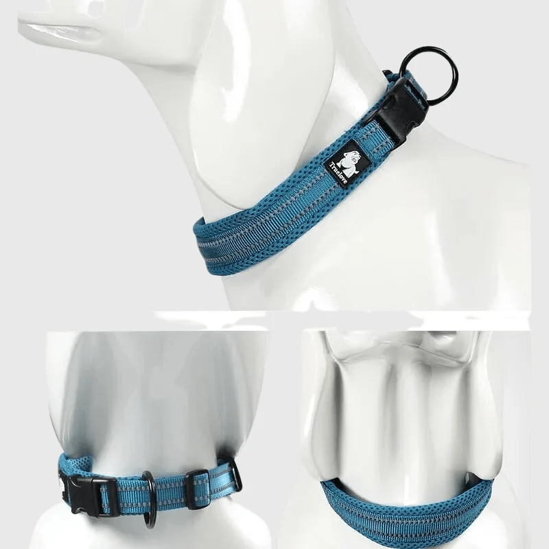 Collier Nylon Réglable Grande Race